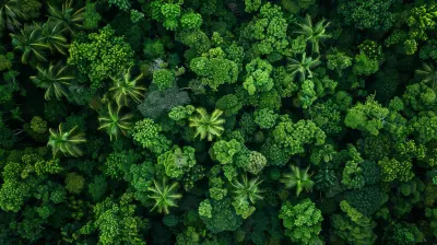 How Drones Are Assisting In Environmental Conservation