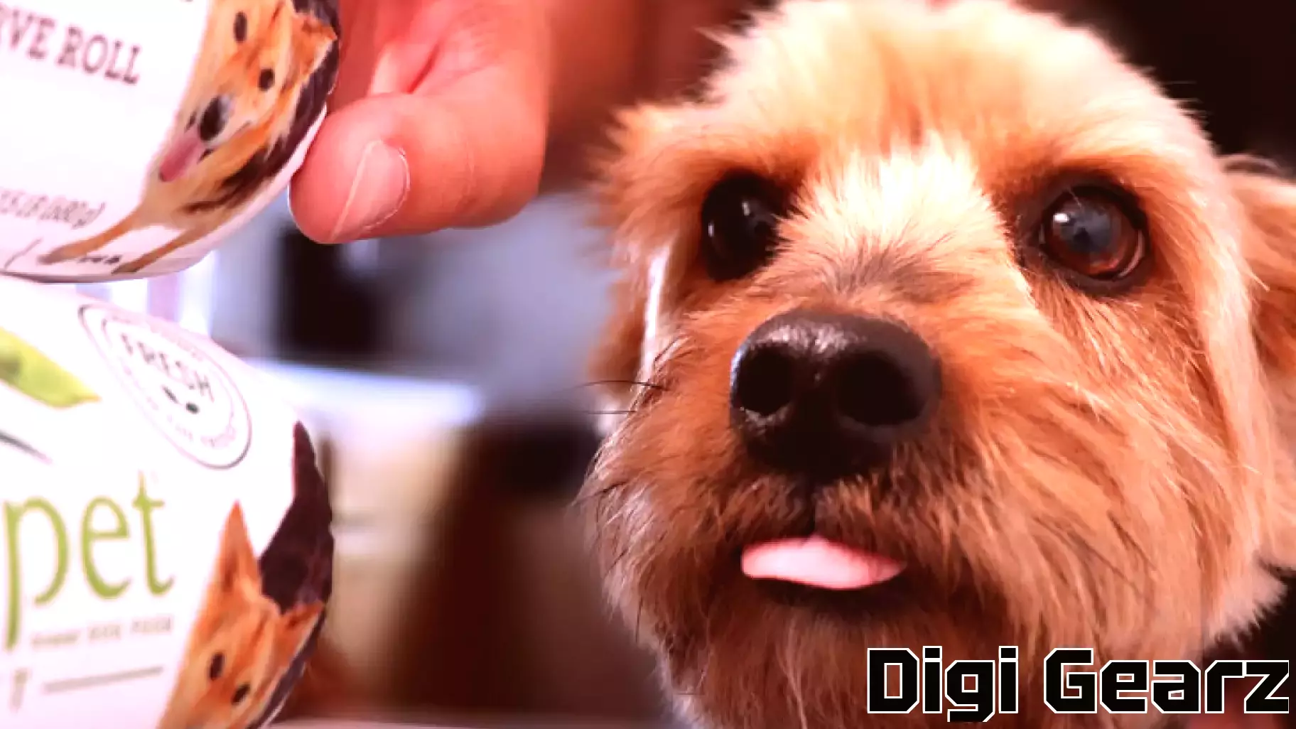 Align Technology's Valuation Insights Amid Analyst Adjustments