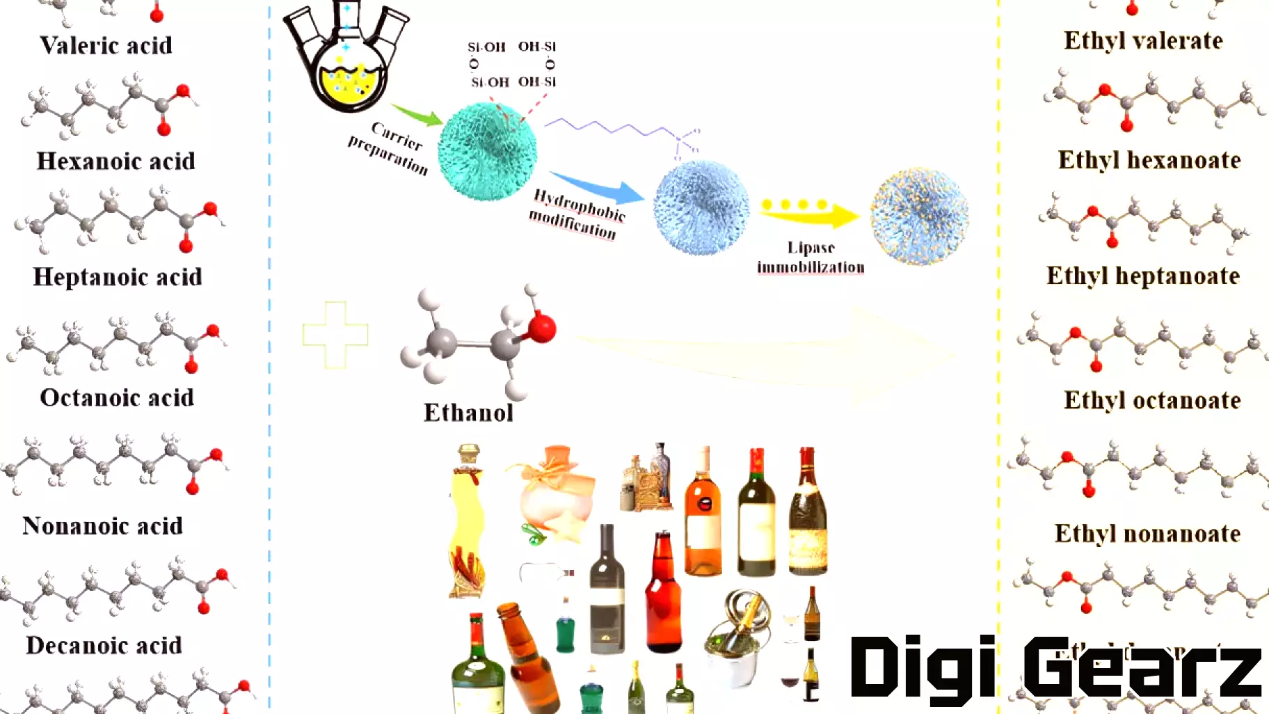Innovative Enzyme Technology Enhances Flavor Production Efficiency