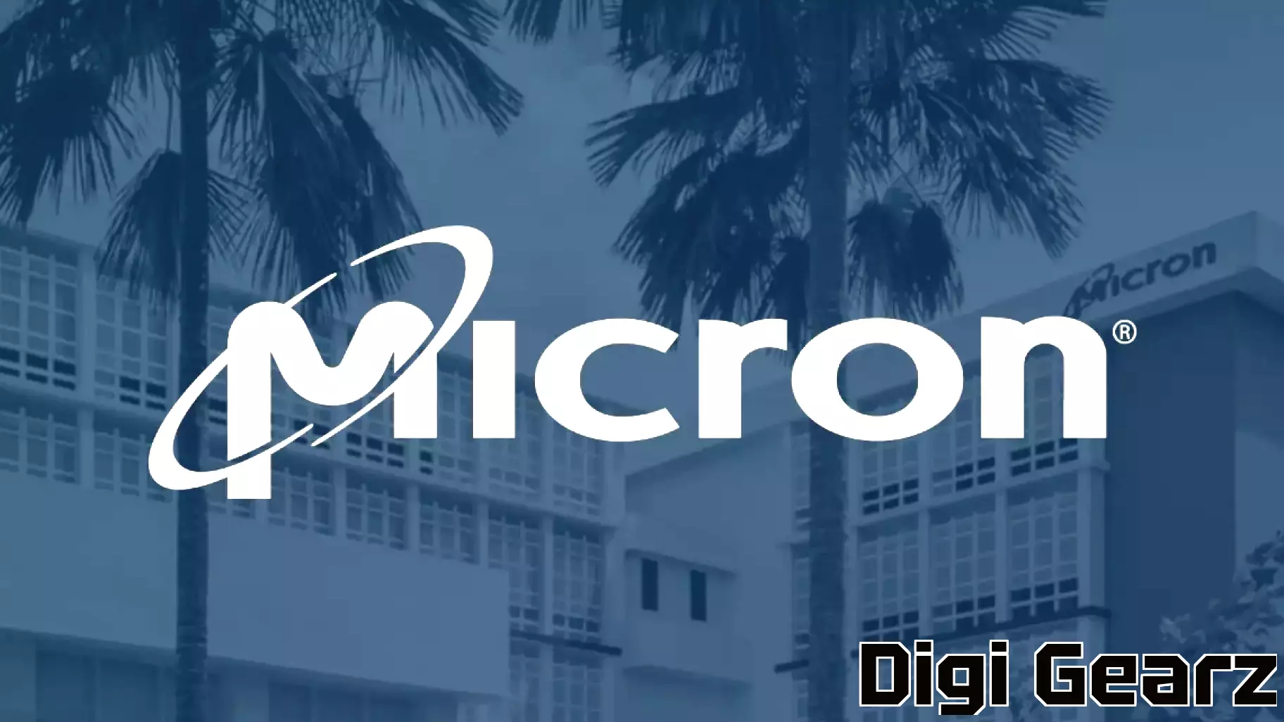 Micron Technology Stock Is Plummeting, but Here's Why I'm Not Buying the Dip