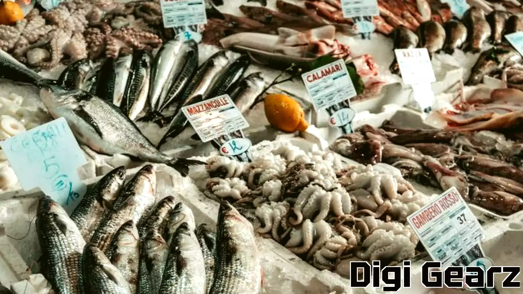 Tackling Seafood Fraud with Nuclear Technology