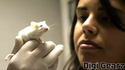 Advancements in Research Models: The Role of Animal Studies