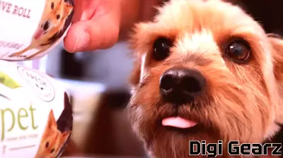 Align Technology's Valuation Insights Amid Analyst Adjustments