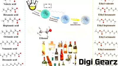 Innovative Enzyme Technology Enhances Flavor Production Efficiency