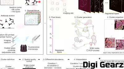 Innovative Imaging Technology Revolutionizes Disease Mapping in Tissue Samples