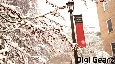 Mehta Research Group Seeks to Improve Global Nutrition With Precision Nutrition Technology